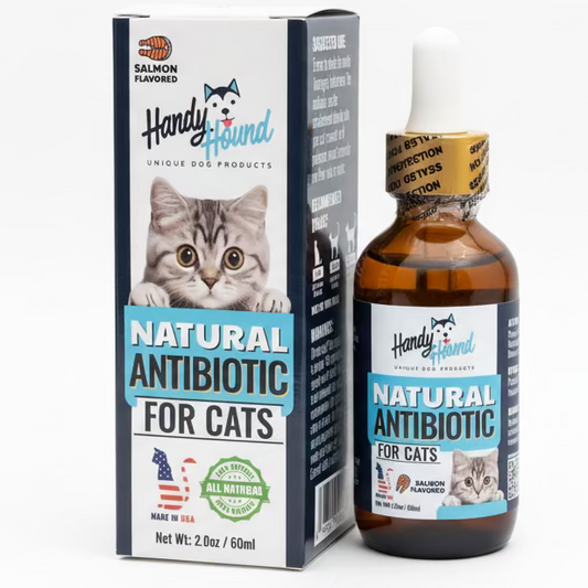 Natural Wellness – Immune Support for Cats