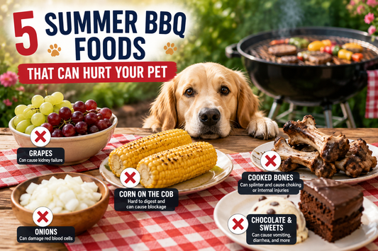 5 Summer BBQ Foods That Can Hurt Your Pet