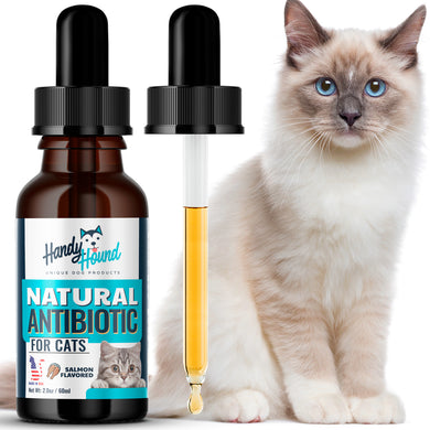 Natural Antibiotic For Cats