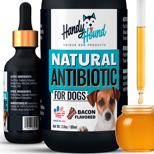 Natural Wellness – Immune Support for Dogs