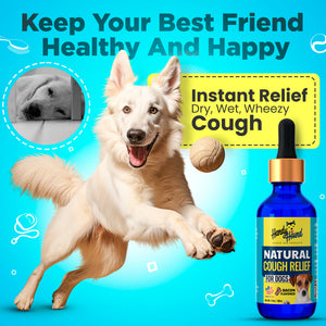 Natural Cough Relief for Dogs