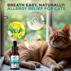 Handy Hound Cat Wellness Formula – Herbal Immune Support, 2 oz