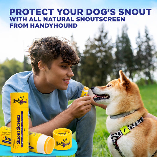 Handy Hound SnoutScreen | Nose Balm | Moisturizing All Natural Sunscreen For Dogs
