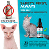 Natural Immune Support For Cats