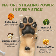 Paw Butter – Paw & Snout Balm for Dogs