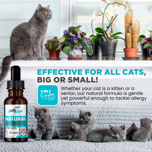 Handy Hound Cat Wellness Formula – Herbal Immune Support, 2 oz