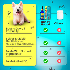 Natural Cough Relief for Dogs