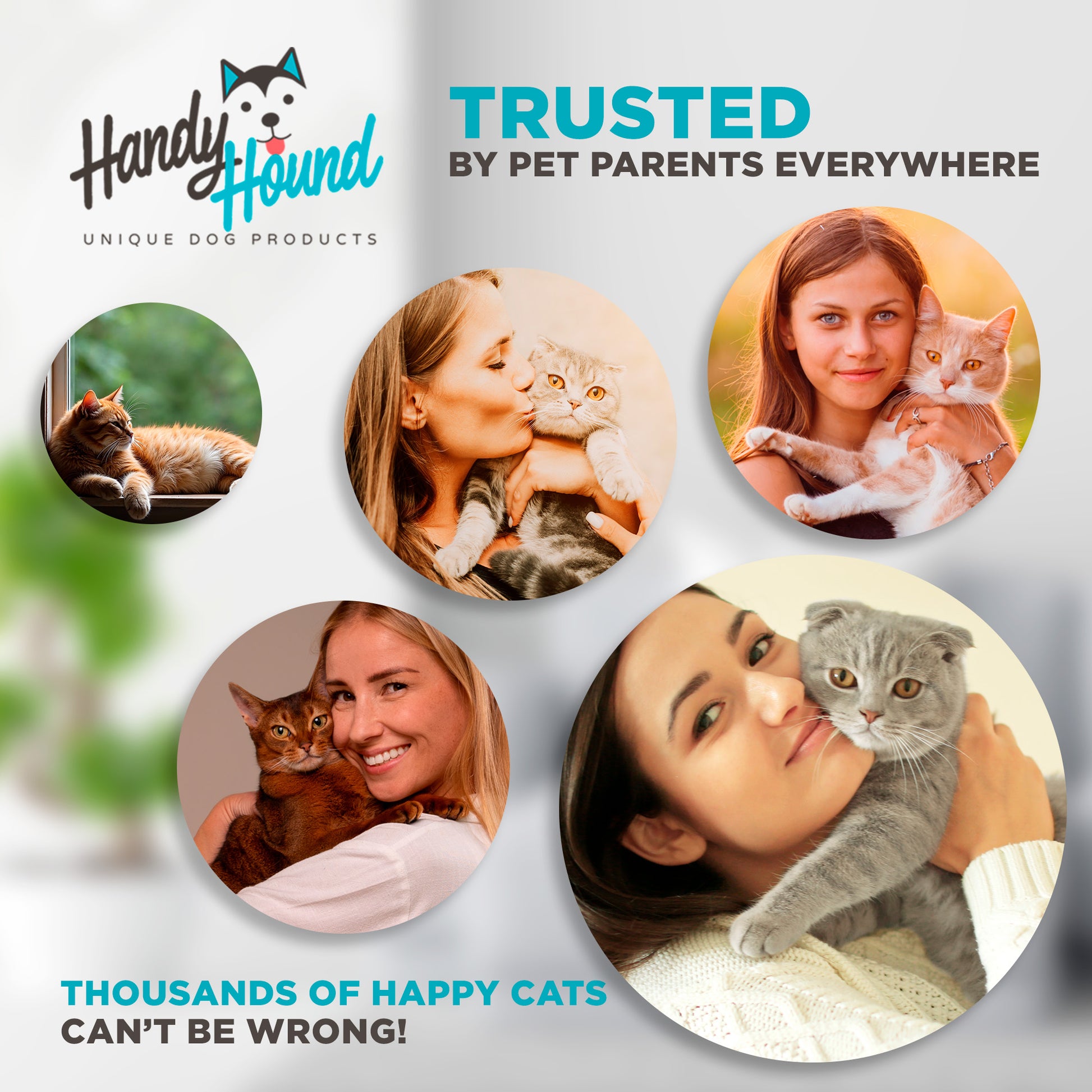 Natural Immune Support For Cats